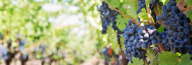 求个安全渠道的DDOS攻击器